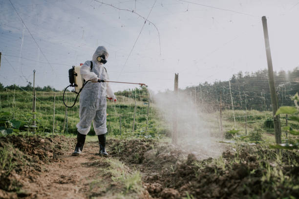 Pest Control Cost in Redding, CA