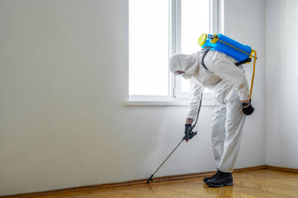 Pest Control for Restaurants in Redding, CA