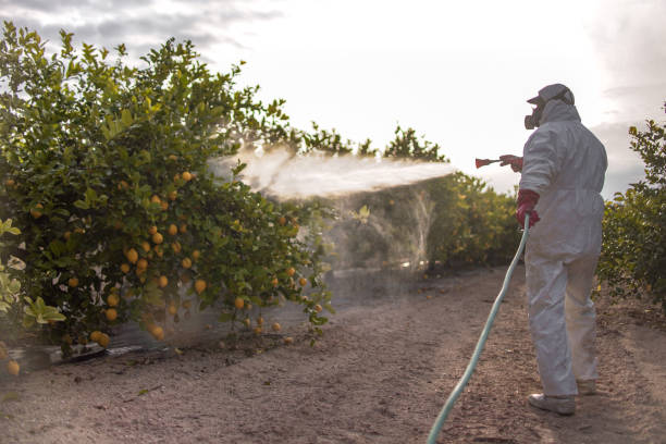 Trusted Redding, CA Pest Control Experts