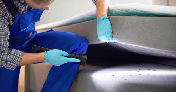Best Exterminator Services  in Redding, CA